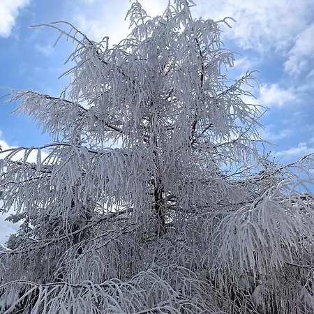 Szklarska Centrum * Szklarska Poręba