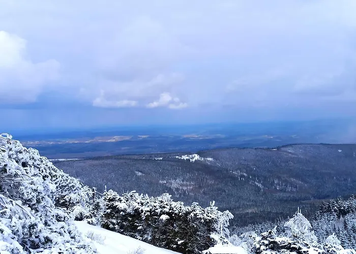 Szklarska Centrum * Szklarska Poręba
