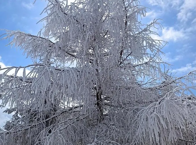 Szklarska Centrum * Szklarska Poręba